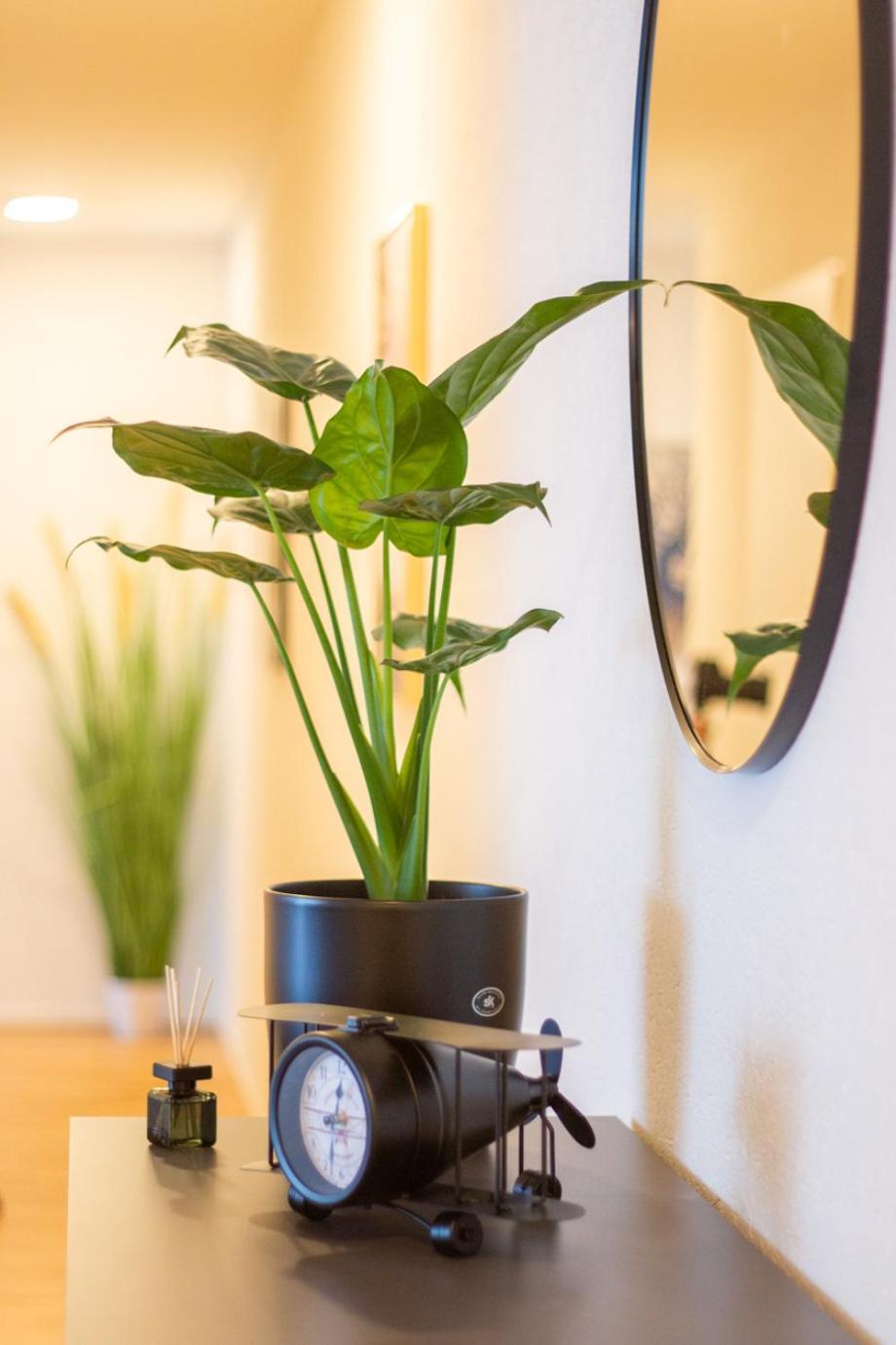 Special Einstein I Apartment Basel, Messe Kleinbasel 10-Star Екстер'єр фото