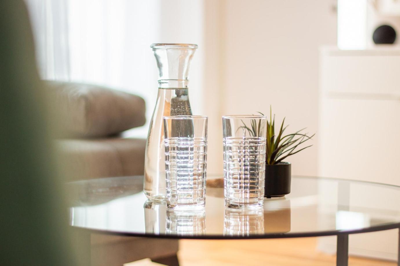 Special Einstein I Apartment Basel, Messe Kleinbasel 10-Star Екстер'єр фото